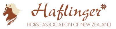 Haflinger Horse Association New Zealand